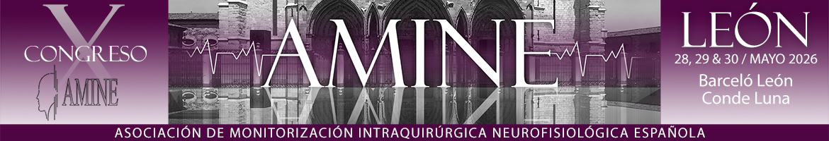 IX Congreso AMINE 2025